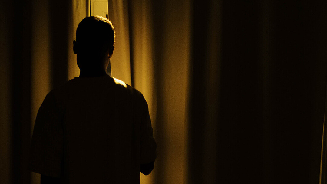 Los Monstruos del Cine - Entre Luz y Sombras